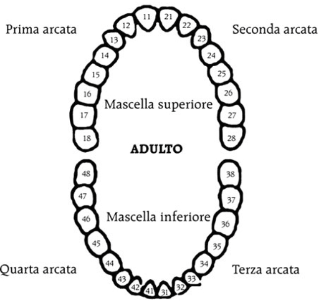 dentizione dizionario sintomi lettera D