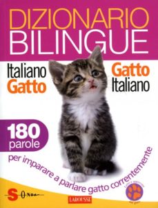 interpretare-il-linguaggio-del-gatto